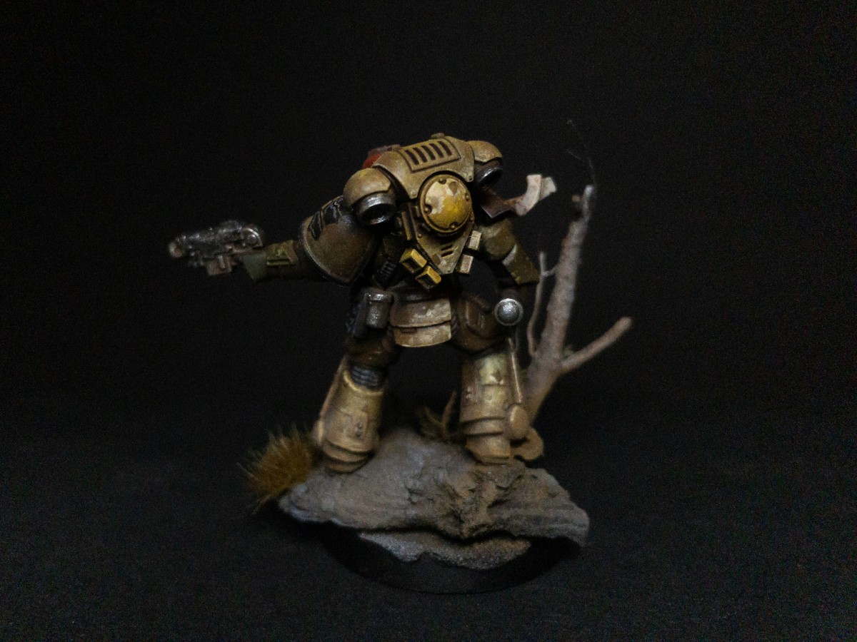 Imperial Fists Vet Sgt 3