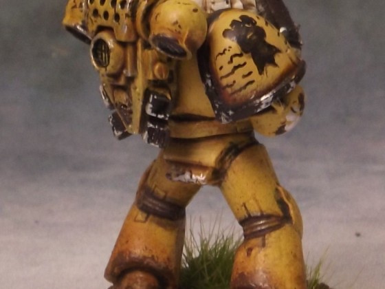 Imperial Fists1