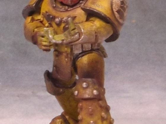 Imperial Fists 2.0