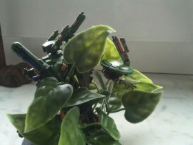 Tau XV-8