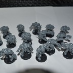Space Wolves Trupp