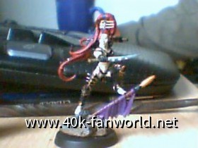 Ragscha´s Dark Eldar